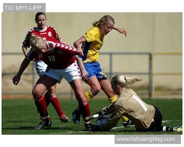 2017年瑞典对阵北爱尔兰精彩回顾与赛后分析