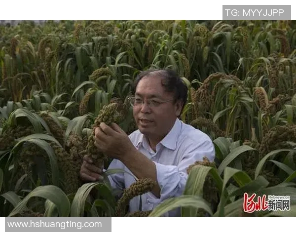 程帅澎：从普通青年到科技创新先锋的奋斗历程与未来展望